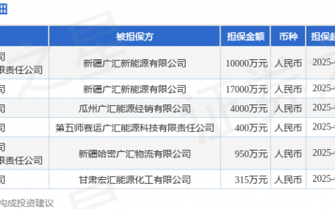 广汇能源披露6笔对外担保，被担保公司5家