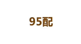 95配