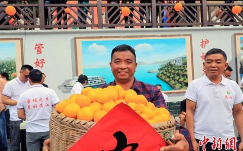 在线配资公司 湖畔移民点“橘”成金 湖南资兴东江湖蜜橘丰收