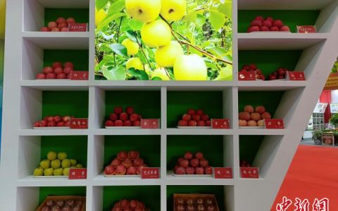 股票配资利息 山西运城果品走向世界 远销76个国家和地区
