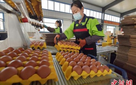 在线炒股配资 破壳“生金” 吉林梨树绘就“禽经济”新图景