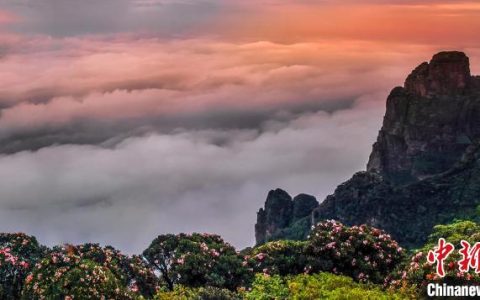 启天配资 粤桂协作引客来 全国百家旅行社瞄准“世界瑶都”文旅资源