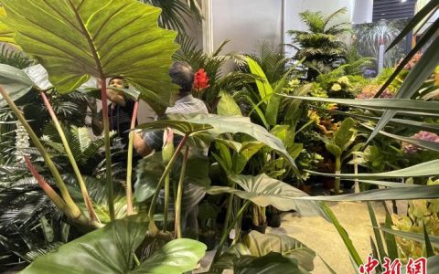 期货配资 广交会观察：园林用品凭创新设计“种草”全球