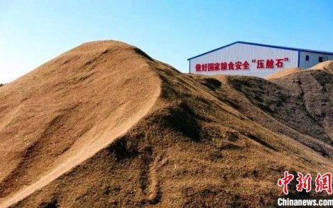 炒股配资公司 黑龙江省九成农作物已收完 收获面积超2亿亩