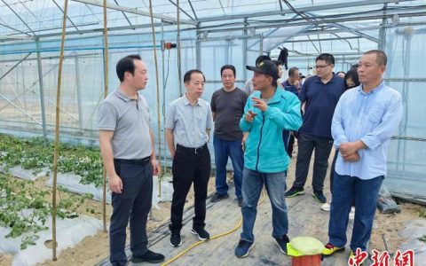 线上炒股配资 乡约福建：“台港澳示范田”助力乡村振兴