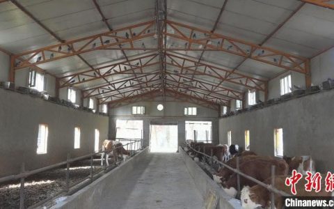 郑州配资网 新疆墨玉：专业化养殖拓宽民众增收路