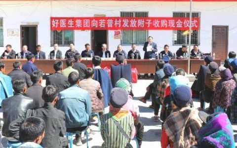 黄金配资 产业兴“丰”景美 好医生正在绘就和美乡村新画卷