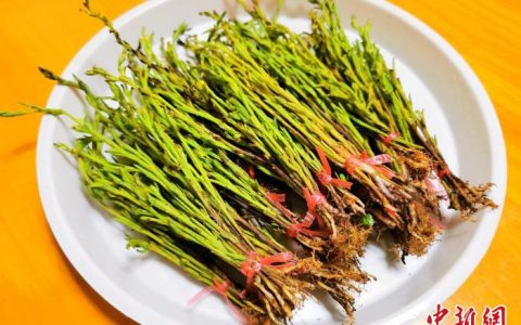 温州股票配资 广东台山野草按枝卖 入汤有“妈妈的爱”