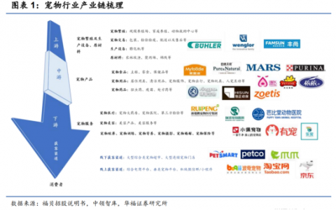 宠物经济悄然兴起，“铲屎官们”养出了千亿消费市场