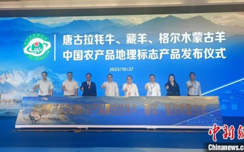 广州期货配资 青海格尔木“浙里行”推介会在温州举行