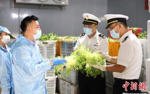 正规配资 青海省8类高原冷凉蔬菜首次直接出口至中国香港