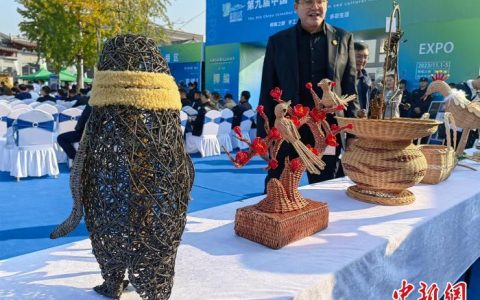 期货配资公司 第九届中国（临沭）柳交会开幕 中外嘉宾共享产业发展机遇