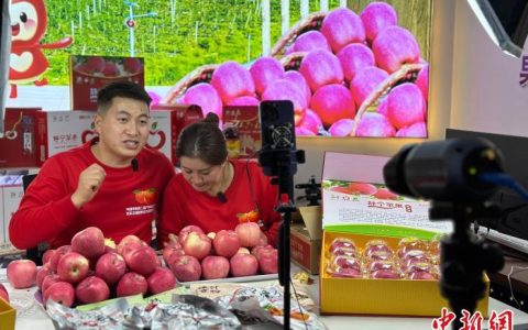 配资服务 静宁苹果何以成为甘肃农特产“头牌”？