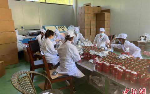 湖南期货配资 甘肃文县茶农半生“与茶为伍”：谋生工具更是修身养性佳品