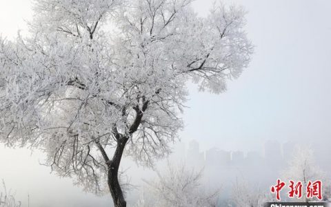炒股配资平台 新雪季活动不断 “雾凇之都”吉林尽展冰雪魅力