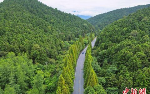 黄金配资 （乡村行·看振兴）江西萍乡：公路“串”起山乡“幸福链”