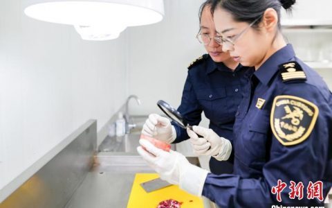 线上股票配资 （第六届进博会）阿富汗石榴首次亮相进博会