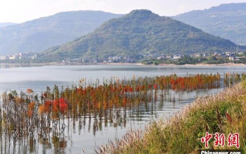 无息外盘配资 重庆启动湿地保护宣传周 呼吁珍爱“地球之肾”