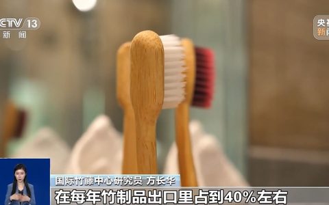 配资机构 三年行动计划来了 如何实现“以竹代塑”？
