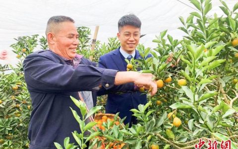 在线股票配资平台 广西金融“活水”为乡村振兴蓄势赋能