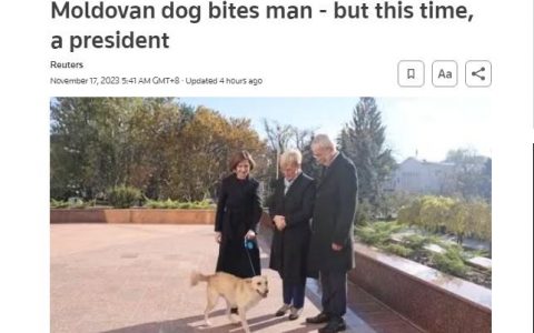 证券配资公司 外媒：总统官邸发生意外！摩尔多瓦总统爱犬咬伤奥地利总统