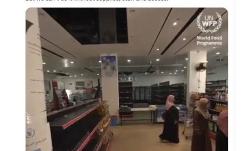正规的股票配资 世粮署：加沙粮食系统崩溃 最后一家合作面包店关门！