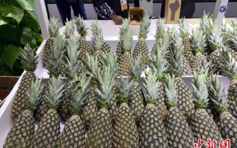 兴华配资 （第六届进博会）寻“味”进博会：全球美食飞入中国寻常百姓家