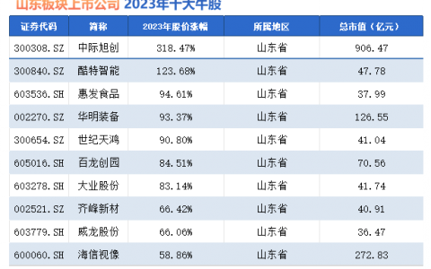2023年山东板块十大牛股盘点：中际旭创独领风骚，各类概念“八仙过海”