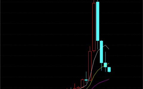 回调超76%，“东北药茅”获252家机构调研！外资高度关注股曝光
