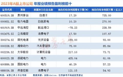 A股2023年度业绩预告盘点：最赚都是“熟面孔”， 北汽蓝谷、赛力斯携手巨亏