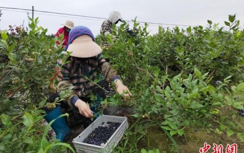 证券鑫东财配资 中国各地“隐藏特产”搭上“白金经济”列车成焦点