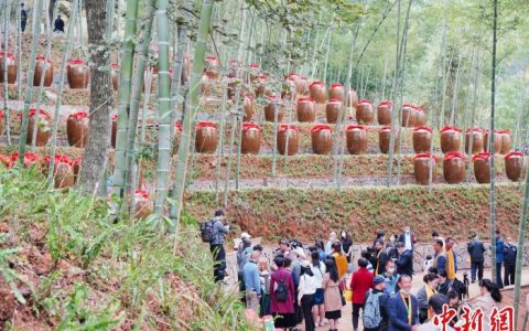 在线配资开户 （乡村行·看振兴）竹林露天酒飘香 江西龙南酿出乡村振兴“好滋味”