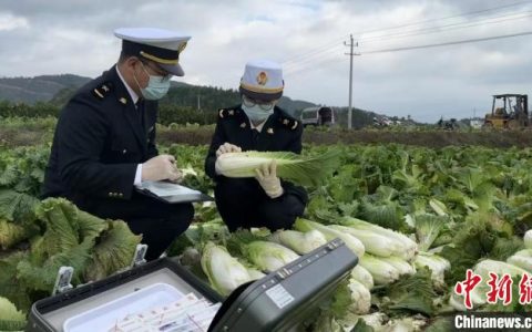 配资炒股平台 湖南农产品加速出海：蔬菜、活猪等俏销 臭豆腐冷链预制菜首出口