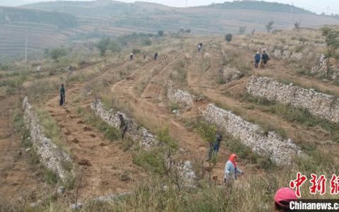 股票怎么配资 山西平定：兴产业治环境 建设“美丽乡村”