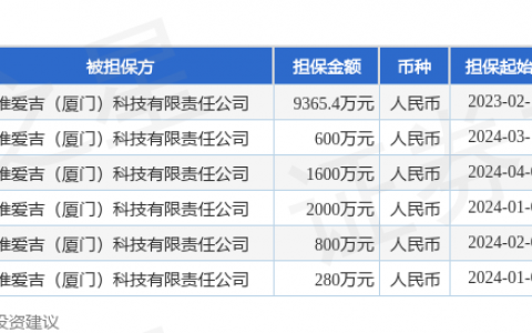 赛特新材披露6笔对外担保，被担保方为维爱吉（厦门）科技有限责任公司