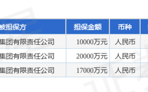 天富能源披露3笔对外担保，被担保方为新疆天富集团有限责任公司