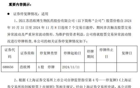 “停牌核查”重出江湖！“这一轮牛市的第一只停牌股”来了