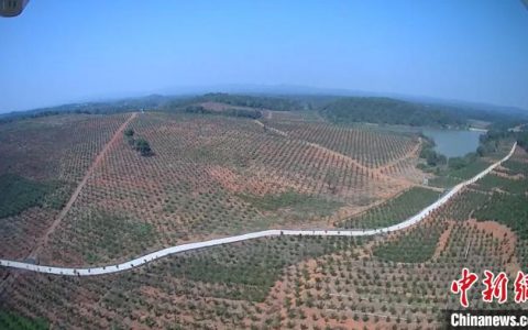 南京股票配资 湖南零陵做强“绿色GDP ” 林下经济激活乡村振兴引擎