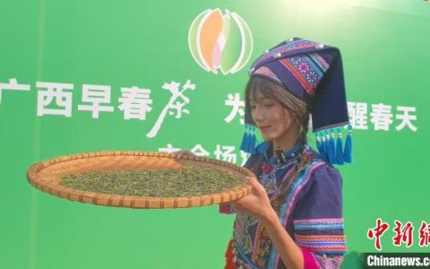 亿配资 2025广西“中国早春第一茶”系列活动开启