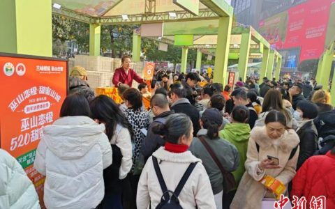 专业股票配资平台 巫山恋橙远销东南亚 自营出口增长快
