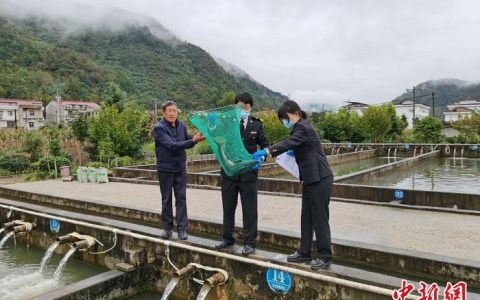 正规配资平台 陕西秦岭活鱼首次出口柬埔寨