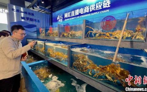 股市配资 吉林推动与东北亚地区港口城市互联互通