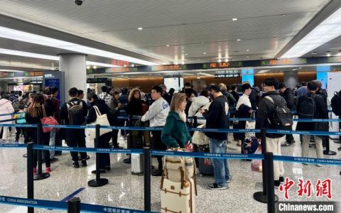 期货配资网 上海口岸2024年出入境人员数较2023年增长85%