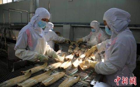 最好的配资公司 （新春见闻）“川字号”鳗鱼 “游”向世界餐桌