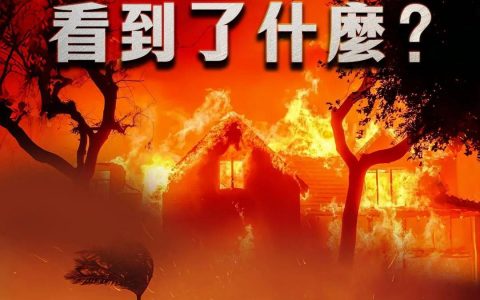 证券配资 日月谭天丨岛内从洛杉矶大火看到了什么？
