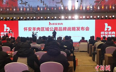 股票配资app 怀安羊肉区域公用品牌战略发布会在北京举办