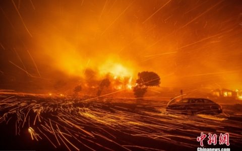 广州期货配资 洛杉矶山火造成约500亿美元损失！起火原因仍在调查中
