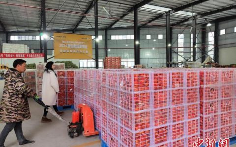 股票配资推荐鑫东财平台 三峡库区产约1500吨“巫山恋橙”出口东南亚