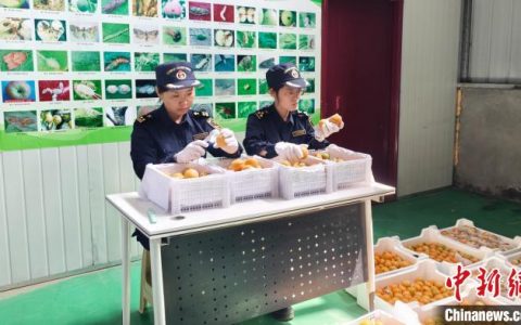 外盘配资 78个国家和地区共享山西“甜蜜果实”