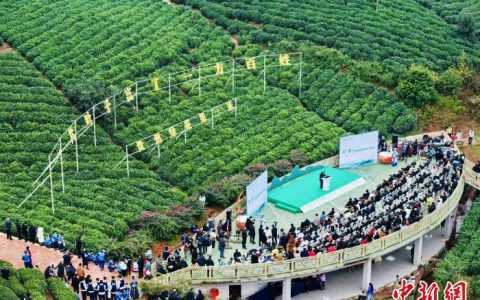 配资论坛 全国早茶大会暨2025年“贵州绿茶”第一采活动在普安举行